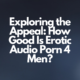 Exploring the Appeal: How Good Is Erotic Audio Porn 4 Men?