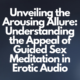 Appeal of Guided Sex Meditation in Erotic Audio