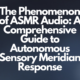 The Phenomenon of ASMR Audio: A Comprehensive Guide to Autonomous Sensory Meridian Response