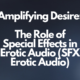 Amplifying Desire: The Role of Special Effects in Erotic Audio (SFX Erotic Audio)