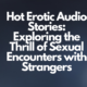 Hot Erotic Audio Stories: Exploring the Thrill of Sexual Encounters with Strangers