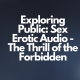 Exploring Public Sex Erotic Audio - The Thrill of the Forbidden