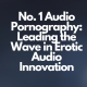 No. 1 Audio Pornography