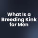 What Is a Breeding Kink for Men